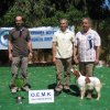 10thnationalshow00083