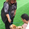 breed-show-201300015