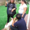 11th National Breed Show 2013