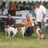 32nd National Breed Show - France