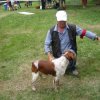 32nd National Breed Show - France