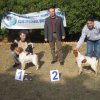6th National Dog Show 2008