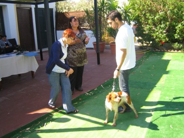 9th-national-breed-show0002