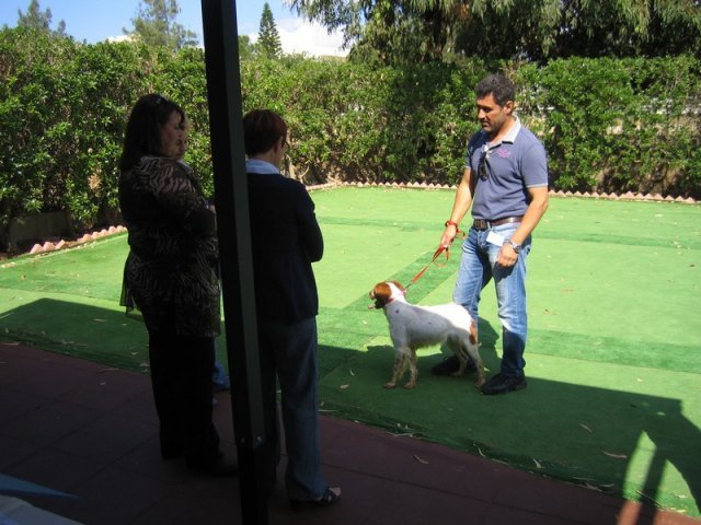 9th-national-breed-show0005