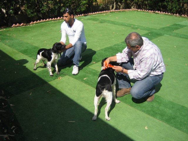 9th-national-breed-show0010