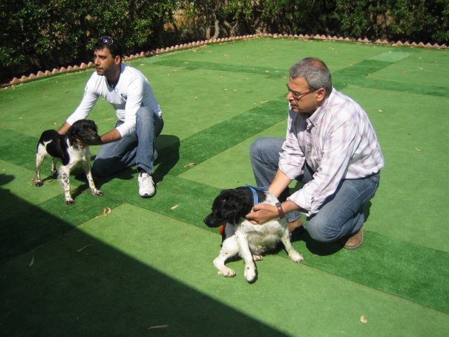 9th-national-breed-show0011