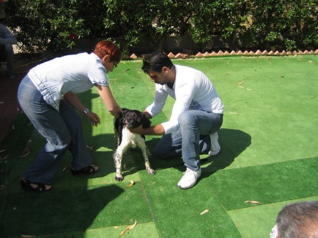 9th-national-breed-show0014