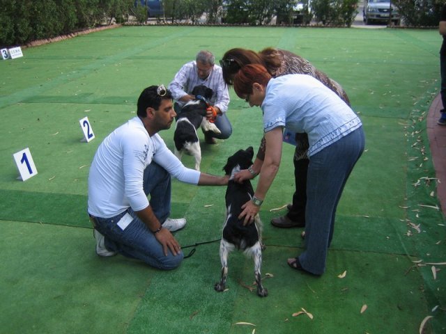 9th-national-breed-show0016