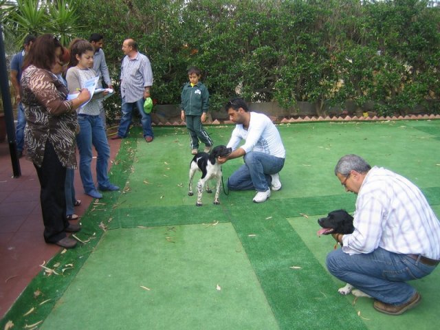 9th-national-breed-show0020