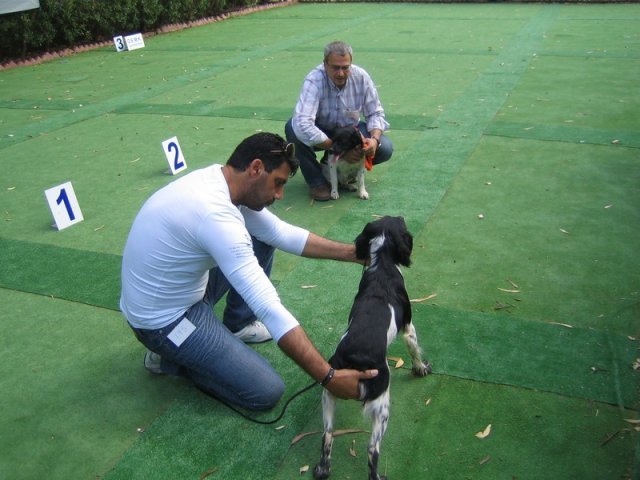 9th-national-breed-show0021