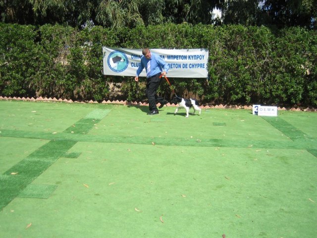 9th-national-breed-show0024