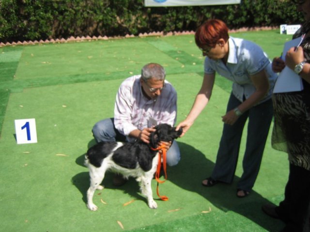 9th-national-breed-show0025