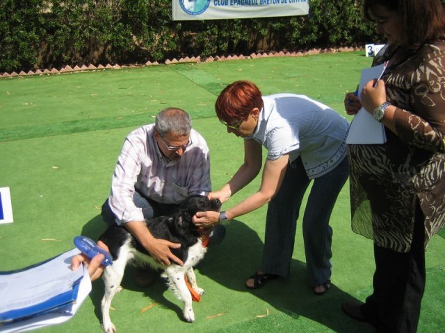 9th-national-breed-show0026