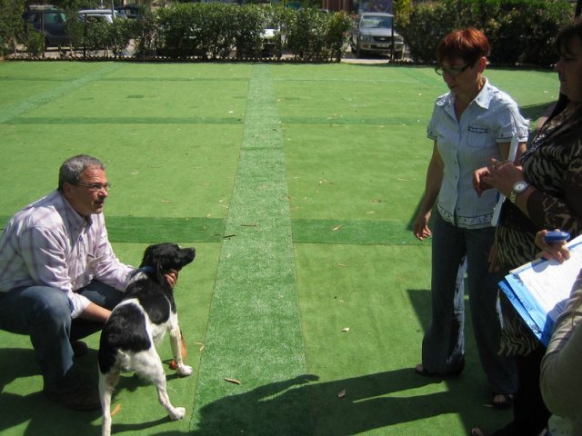 9th-national-breed-show0027