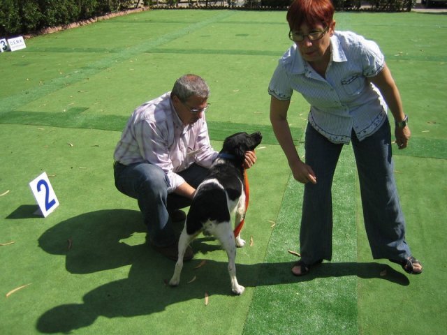 9th-national-breed-show0028