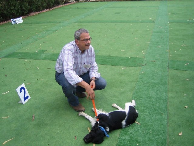 9th-national-breed-show0029