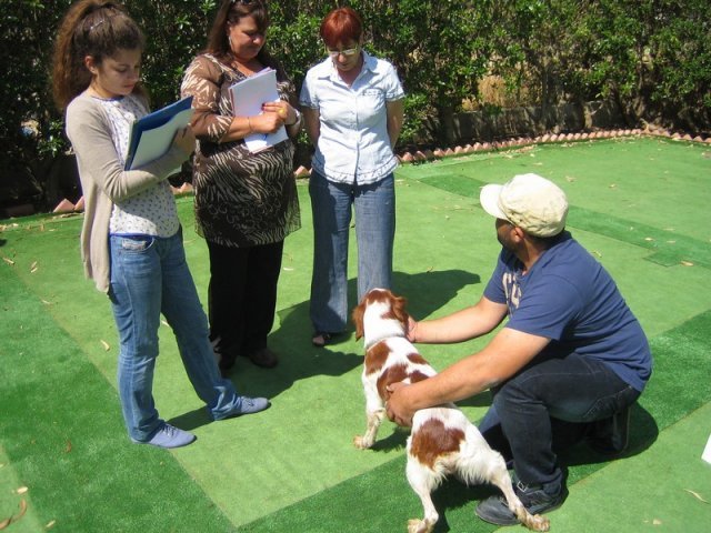 9th-national-breed-show0032