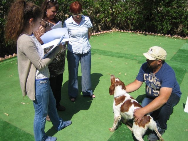 9th-national-breed-show0033