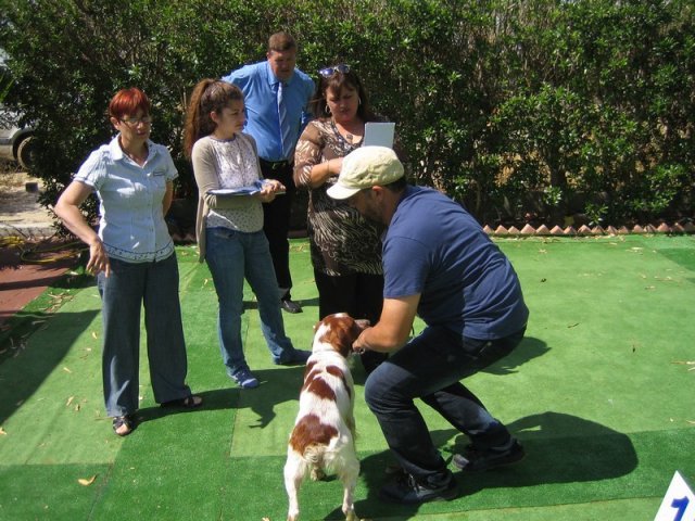 9th-national-breed-show0035