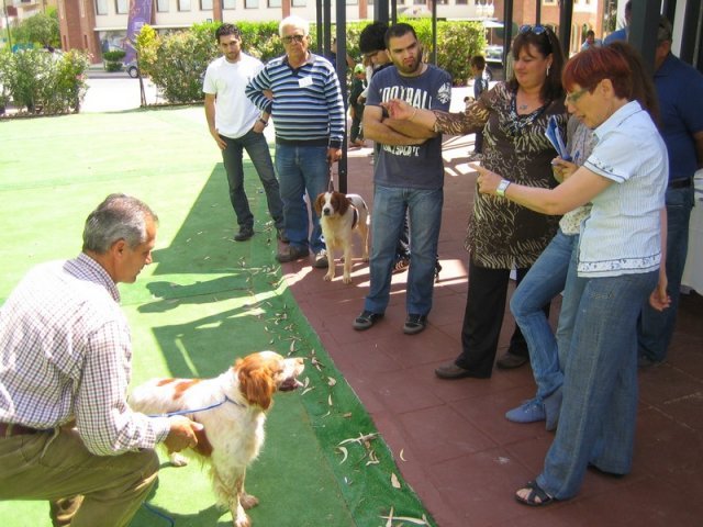 9th-national-breed-show0036