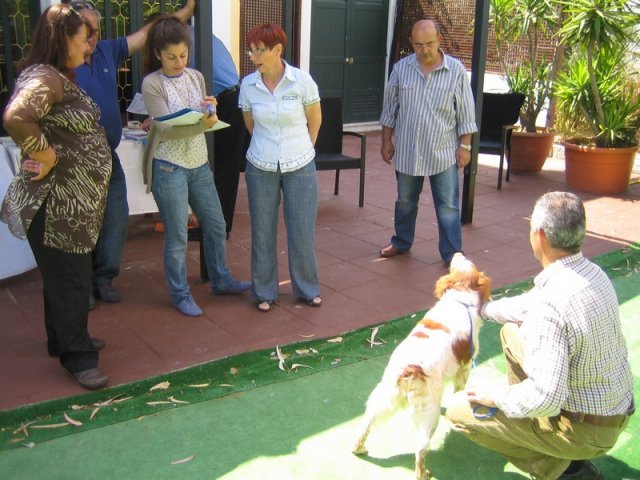 9th-national-breed-show0037