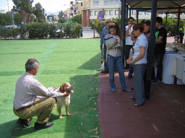 9th-national-breed-show0038