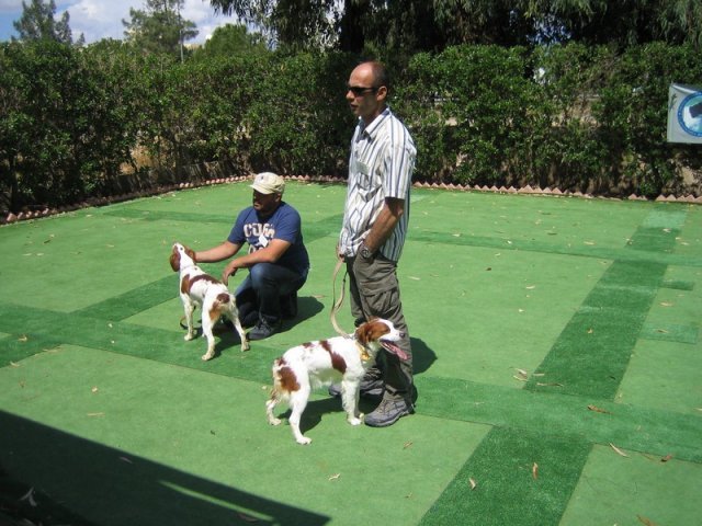 9th-national-breed-show0043