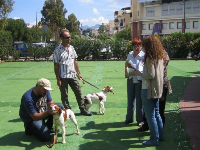 9th-national-breed-show0044