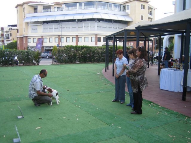 9th-national-breed-show0045