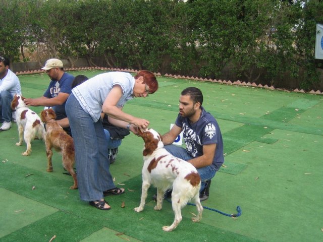 9th-national-breed-show0048