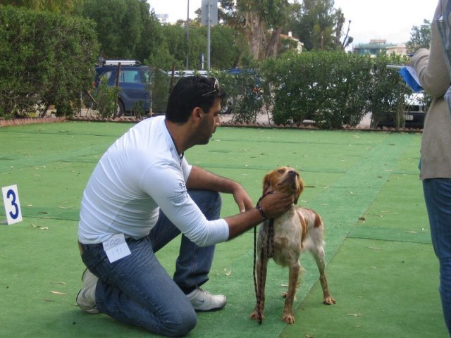 9th-national-breed-show0050