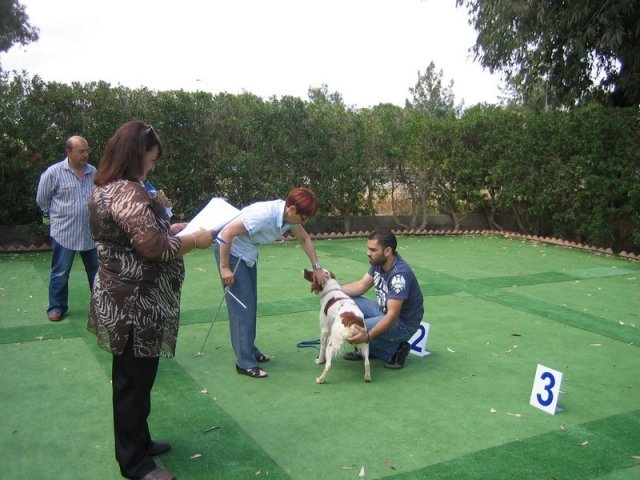 9th-national-breed-show0053