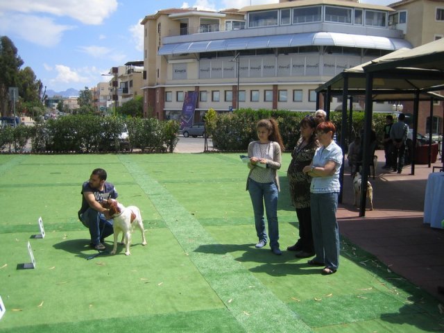 9th-national-breed-show0054