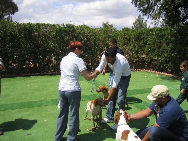 9th-national-breed-show0057