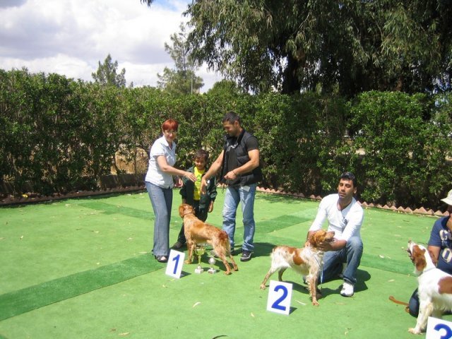 9th-national-breed-show0059