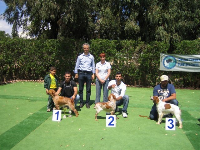 9th-national-breed-show0061