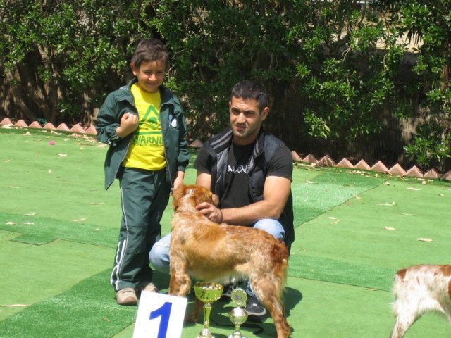 9th-national-breed-show0062