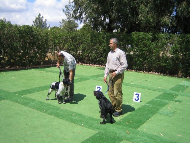 9th-national-breed-show0067