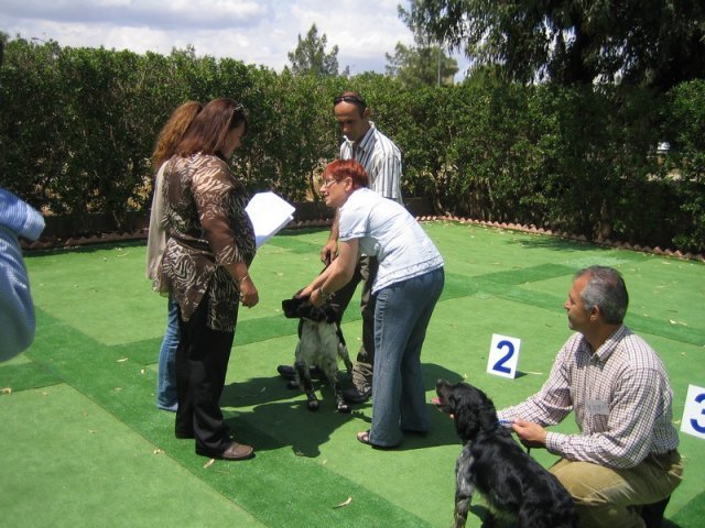 9th-national-breed-show0069