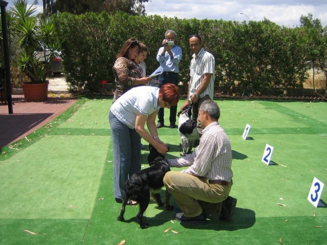 9th-national-breed-show0070