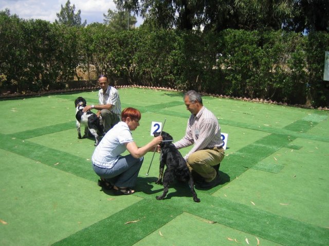 9th-national-breed-show0072