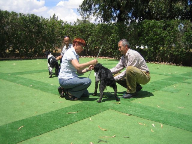 9th-national-breed-show0073