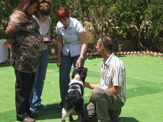 9th-national-breed-show0074