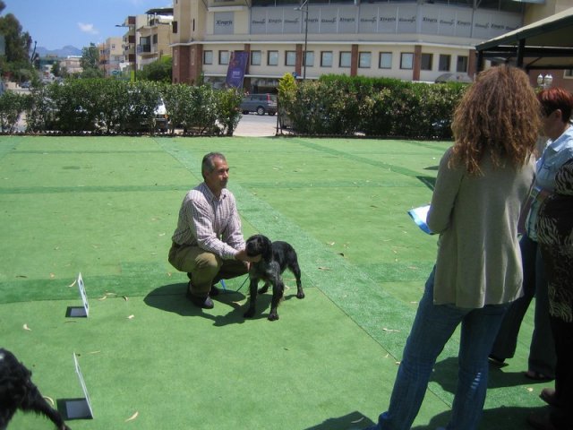 9th-national-breed-show0076