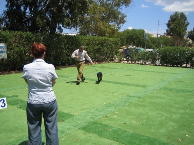 9th-national-breed-show0077