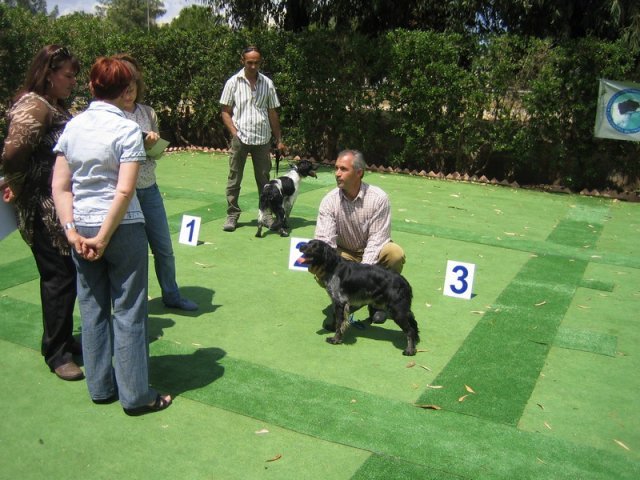 9th-national-breed-show0078