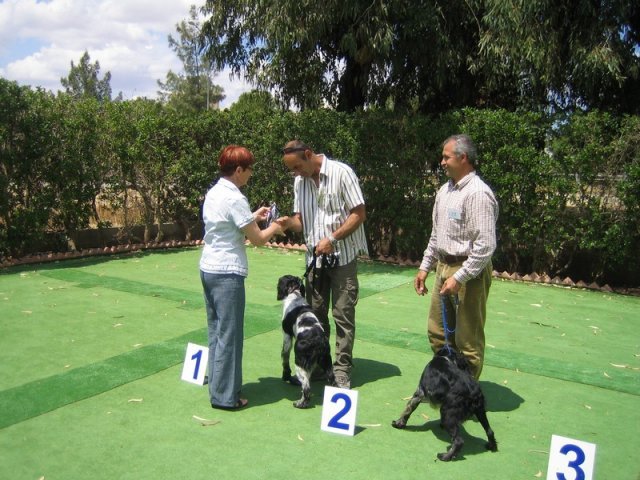 9th-national-breed-show0079