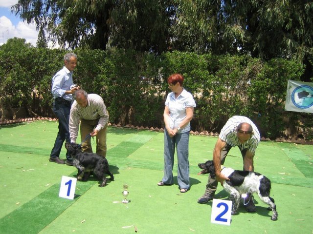 9th-national-breed-show0081