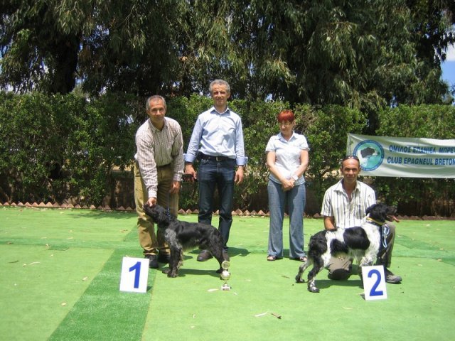 9th-national-breed-show0084