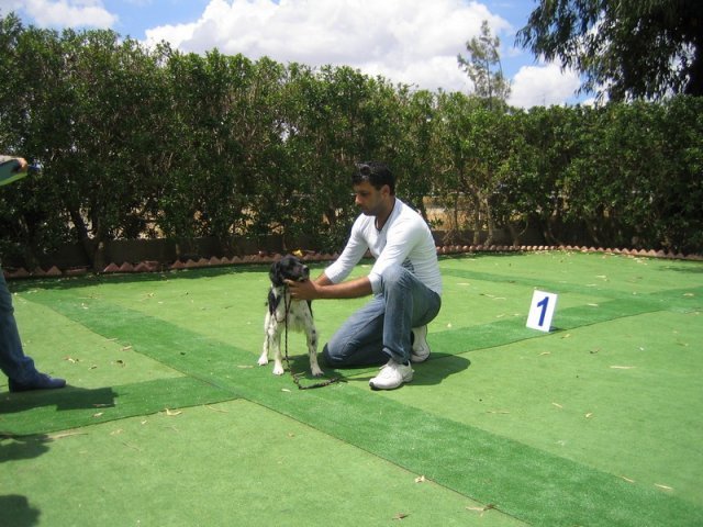 9th-national-breed-show0086